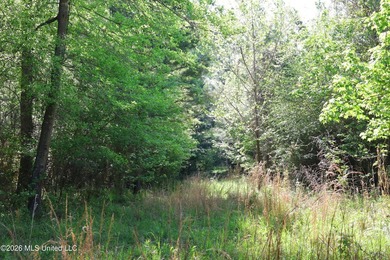 Nestled in the heart of Claiborne County, this exceptional - photo 21