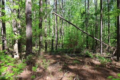 Nestled in the heart of Claiborne County, this exceptional - photo 22