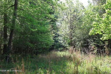 Nestled in the heart of Claiborne County, this exceptional - photo 24