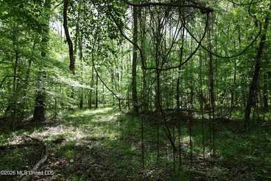 Nestled in the heart of Claiborne County, this exceptional - photo 28