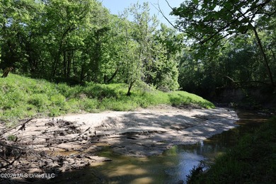 Nestled in the heart of Claiborne County, this exceptional - photo 29