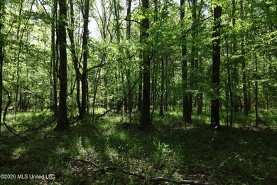 Nestled in the heart of Claiborne County, this exceptional - photo 31
