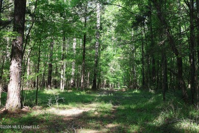 Nestled in the heart of Claiborne County, this exceptional - photo 32
