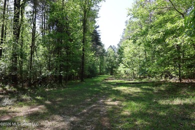 Nestled in the heart of Claiborne County, this exceptional - photo 33
