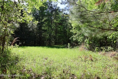 Nestled in the heart of Claiborne County, this exceptional - photo 34