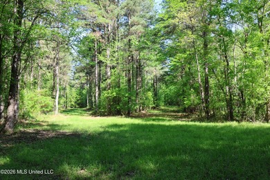 Nestled in the heart of Claiborne County, this exceptional - photo 35