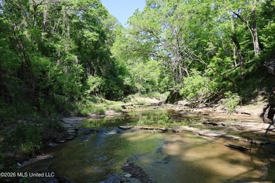Nestled in the heart of Claiborne County, this exceptional - photo 36