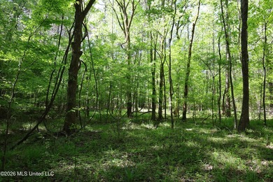 Nestled in the heart of Claiborne County, this exceptional - photo 38