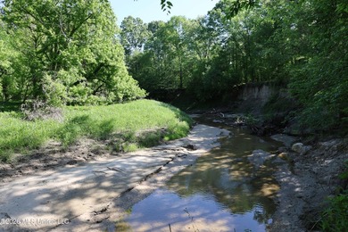 Nestled in the heart of Claiborne County, this exceptional - photo 39
