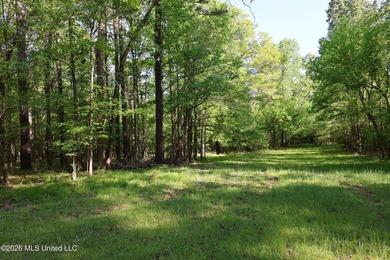 Nestled in the heart of Claiborne County, this exceptional - photo 40