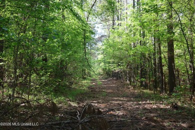 Nestled in the heart of Claiborne County, this exceptional - photo 41