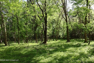Nestled in the heart of Claiborne County, this exceptional - photo 42