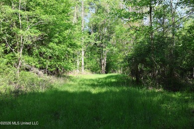 Nestled in the heart of Claiborne County, this exceptional - photo 43