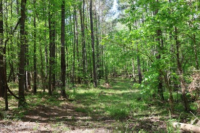 Nestled in the heart of Claiborne County, this exceptional - photo 46