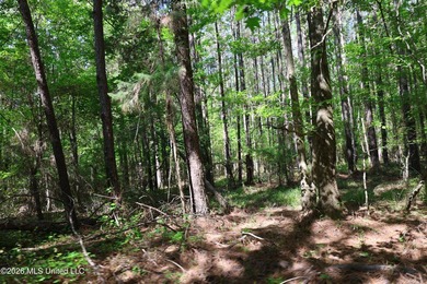 Nestled in the heart of Claiborne County, this exceptional - photo 48