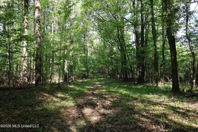 Nestled in the heart of Claiborne County, this exceptional - photo 49