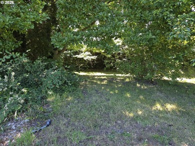 Prime 1.41-acre commercially zoned opportunity on the beautiful - photo 20