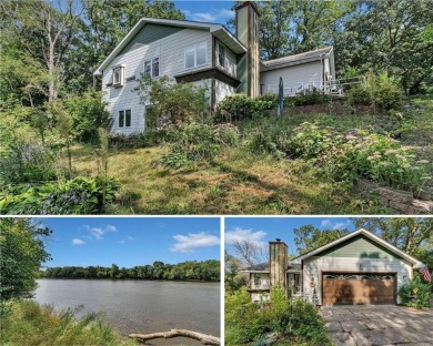 Lake Home For Sale in Clear Lake, Minnesota