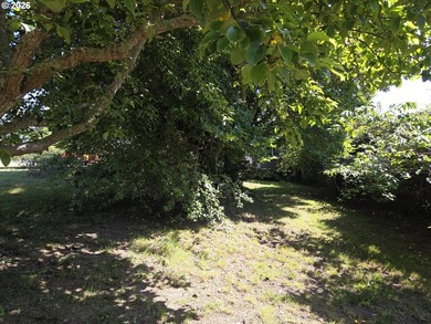 Prime 1.41-acre commercially zoned opportunity on the beautiful - photo 21