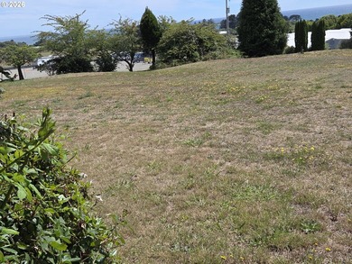 Prime 1.41-acre commercially zoned opportunity on the beautiful - photo 22