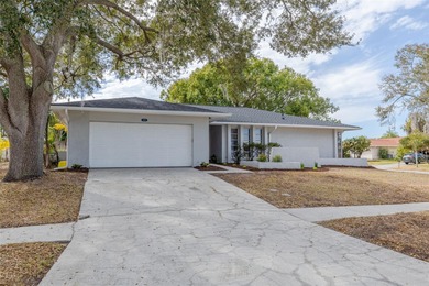 Alligator Lake - Pinellas County Home Sale Pending in Clearwater Florida