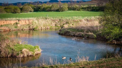 Redwater Ranch spans 905.6+/- acres just north of Spearfish - photo 5
