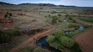 Redwater Ranch spans 905.6+/- acres just north of Spearfish - photo 6