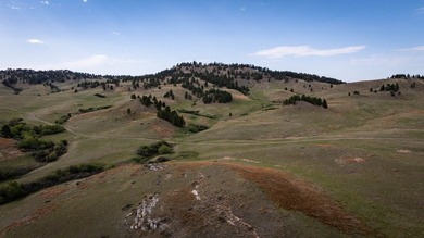 Redwater Ranch spans 905.6+/- acres just north of Spearfish - photo 7