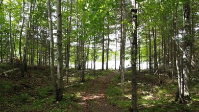 Enjoy year-round living on your 1.5 acres including 160 feet of - photo 14