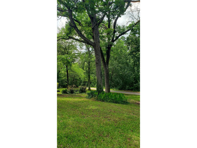 Nestled on a beautifully wooded and landscaped double lot, this - photo 21
