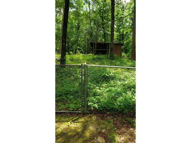 Nestled on a beautifully wooded and landscaped double lot, this - photo 24
