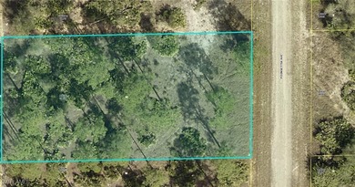 Lehigh Acres Area Lot For Sale in Lehigh Acres Florida