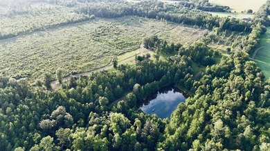 (private lake, pond, creek) Acreage For Sale in Chattahoochee Florida