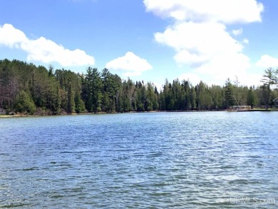 Lake Acreage For Sale in Gwinn, Michigan