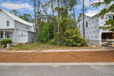 Wonderful building lot in the gated enclave of Hidden Grove - photo 4