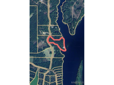Lake Acreage Sale Pending in Catherine, Alabama