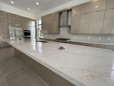 Stunning Dominica Contemporary home with high level upgrades - photo 11