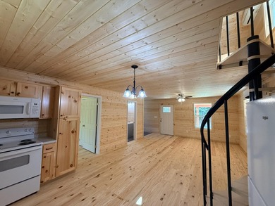 Brand-new rustic cabin retreat on one acre, minutes from the - photo 12