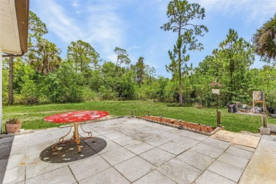 Tucked away in Tropical Gulf Acres is this 3-4 bedroom 2 bath - photo 22