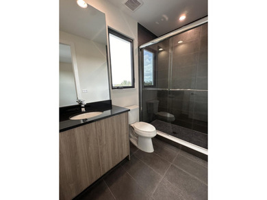 Stunning Dominica Contemporary home with high level upgrades - photo 31