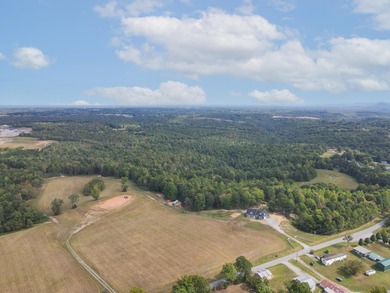Spanning an impressive 35(+/-) acres in Strunk, Kentucky, right - photo 11