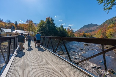 High Falls Gorge - Iconic Adirondack Nature Attraction & Turnkey - photo 29