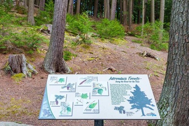 High Falls Gorge - Iconic Adirondack Nature Attraction & Turnkey - photo 36