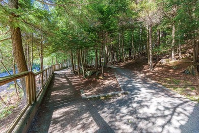 High Falls Gorge - Iconic Adirondack Nature Attraction & Turnkey - photo 41