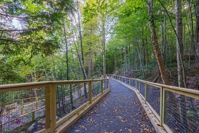 High Falls Gorge - Iconic Adirondack Nature Attraction & Turnkey - photo 42