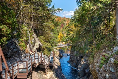 High Falls Gorge - Iconic Adirondack Nature Attraction & Turnkey - photo 45
