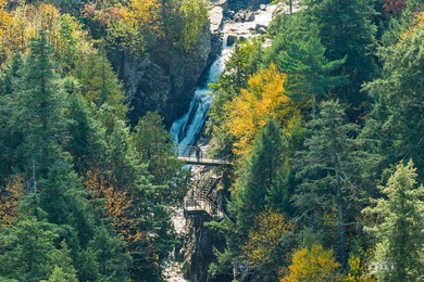 High Falls Gorge - Iconic Adirondack Nature Attraction & Turnkey - photo 46