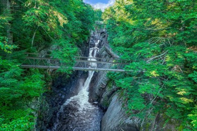 High Falls Gorge - Iconic Adirondack Nature Attraction & Turnkey - photo 49