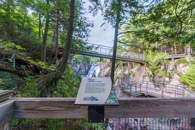 High Falls Gorge - Iconic Adirondack Nature Attraction & Turnkey - photo 52