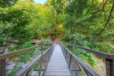 High Falls Gorge - Iconic Adirondack Nature Attraction & Turnkey - photo 53